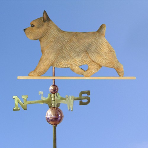 Norwich terrier hand - norwich,