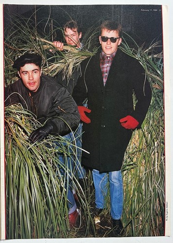 Madness 1984 full page - full, uk