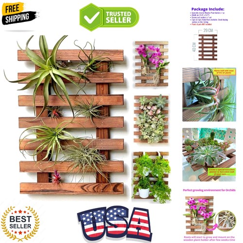 Wall planter wooden air - wall,