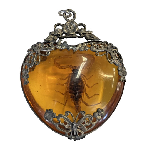 Scorpion with amber and - amber,