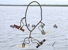Avery  Quick Lanyard for Duck