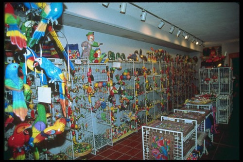 264026 local craft shops - local,