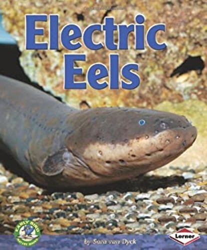 Electric eels library - eels,