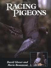 Racing pigeons glover - racing, glover,