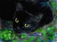 BCB Black Cat Good Luck Four