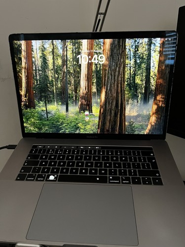 Apple macbook pro - pro, 15