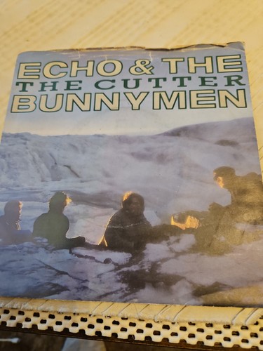 Echo the bunnymen - the,