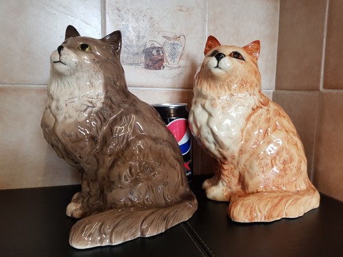 Two beswick persian cats - cats,