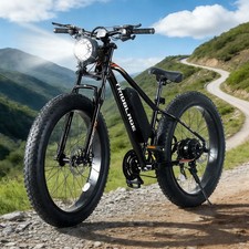 Electric Bike Adults 26X4.0