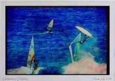 Sailing 339062 O'Neill Cup