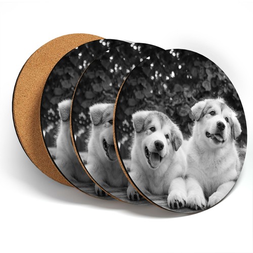 Coasters bw alaskan - coasters,