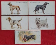 John Player & Sons  Dogs