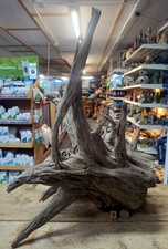 Large corbo root aquarium - corbo,
