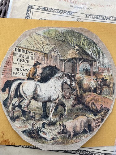 Early 20th thorleys horse - c.thorleys, &