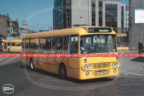 Bus photo northern - photo,