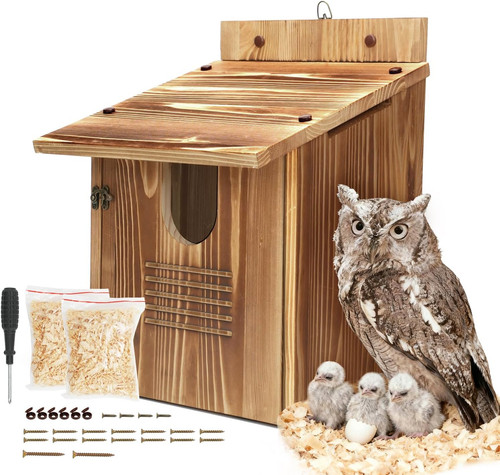 Owl houses for outdoors - for, large
