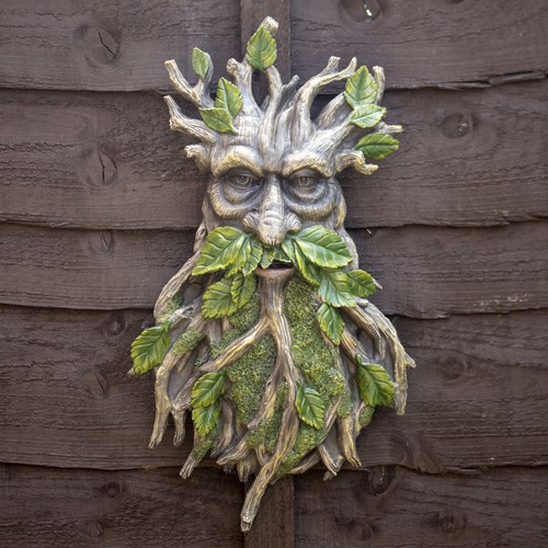 Ancient mossbeard green - green, man
