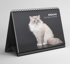 Birman Cat Desk Calendar 2026-2027: Standing Flip Desktop Calendar