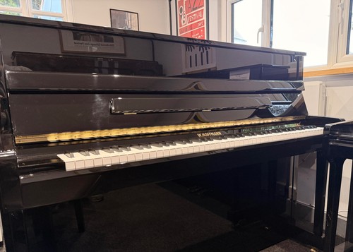 Hoffmann v112 by - w.,