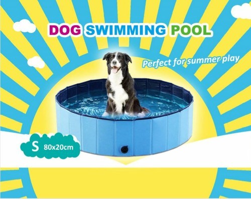 Childrens swimming pool dog - childrens,