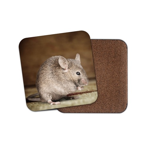 Cute field mouse cork backed - cute,