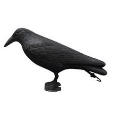 Black crow decoy - bird, scarer