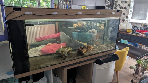 Juwel rio aquarium - juwel,