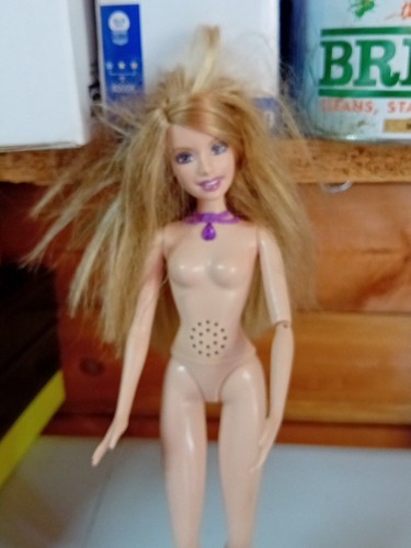 Barbie mattel 2003 along - barbie,