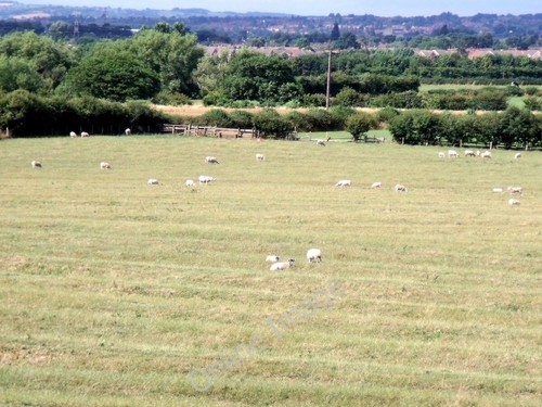 Photo 6x4 ridge and - and, furrow