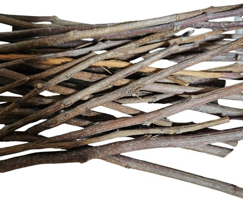 50g apple wood chew sticks - apple, for