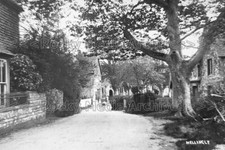 dbb-25 Hellingly Village