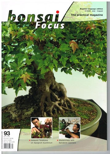 Bonsai focus july aug - bonsai,