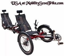 layback adult tadpole folding