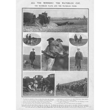 Coursing the waterloo - the, cup