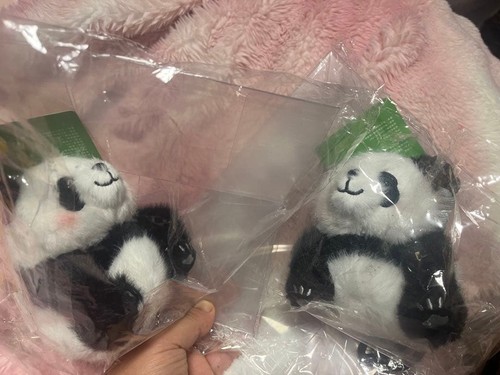 Set panda plush mascot - of, 2