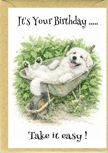 Pyrenean mountain dog - dog, (4"x