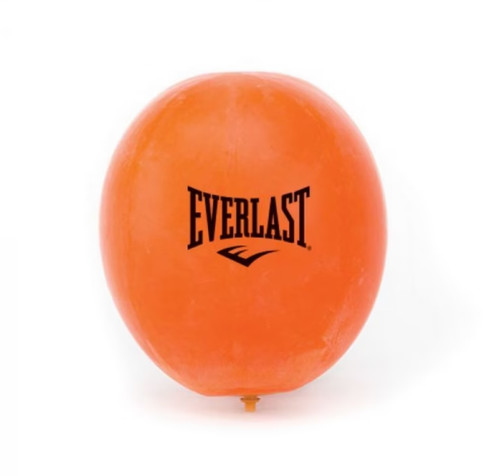 Everlast boxing speed - boxing, bag
