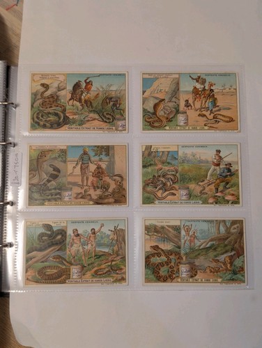 Liebig set f750 trade cards - f750,