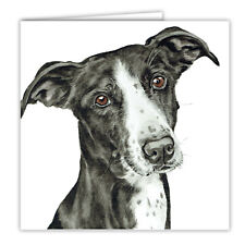 Lurcher greetings card dog