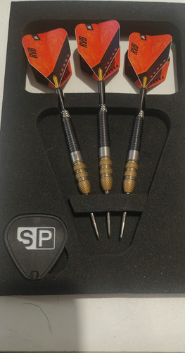 Target raymond van barneveld - target,