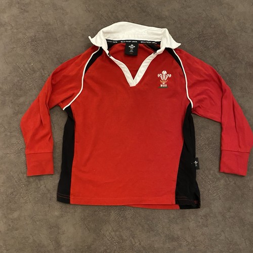 Welsh rugby union - union, sleeve