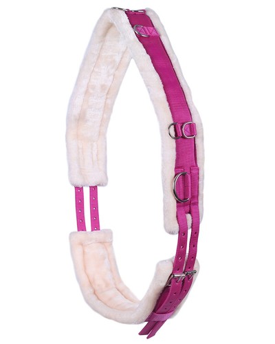 Padded lunging roller - lunging, for