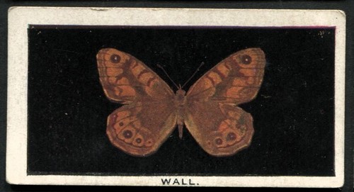 Tobacco card godfrey - tobacco,