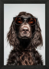 Cool Field Spaniel Dog with