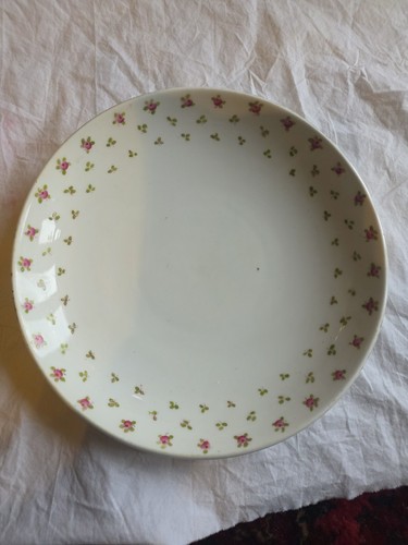 Vintage roses pattern dinner - vintage,