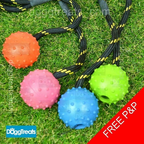 Tough ball dog toy - dog, rubber
