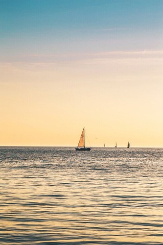 617797 dhows sunset - 617797, at