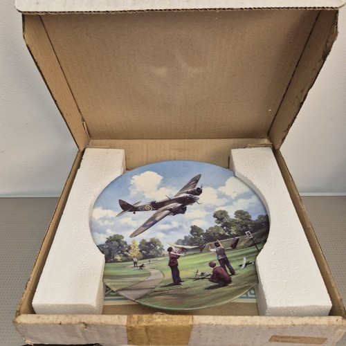 Royal doulton raf plate - doulton,