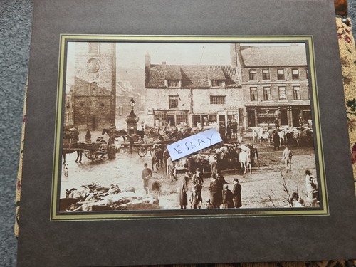 Large edwardian morpeth photo - edwardian,