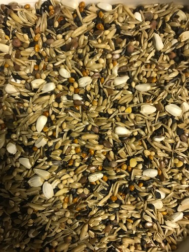 Bullfinch seed mix premium - seed,